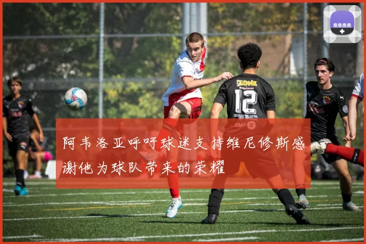 阿韦洛亚呼吁球迷支持维尼修斯感谢他为球队带来的荣耀